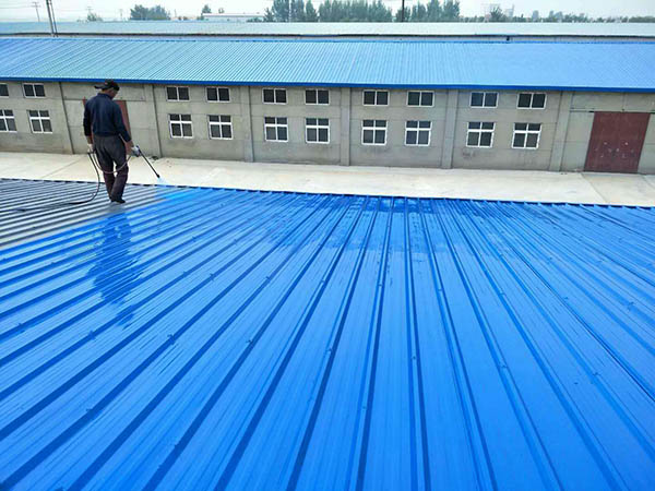 新兴 彩钢瓦喷漆翻新工业厂房、仓库